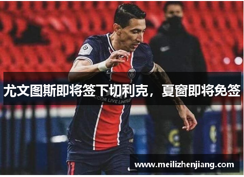 尤文图斯即将签下切利克，夏窗即将免签